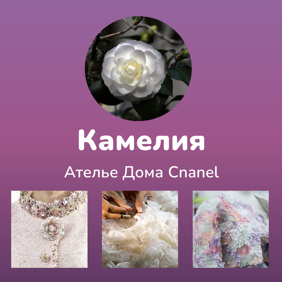 дом шанель.jpg